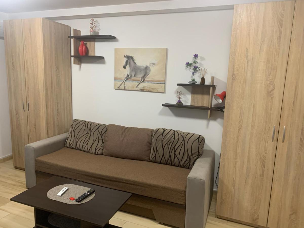 Studio Militari Residence Mr_1 Rosu ภายนอก รูปภาพ
