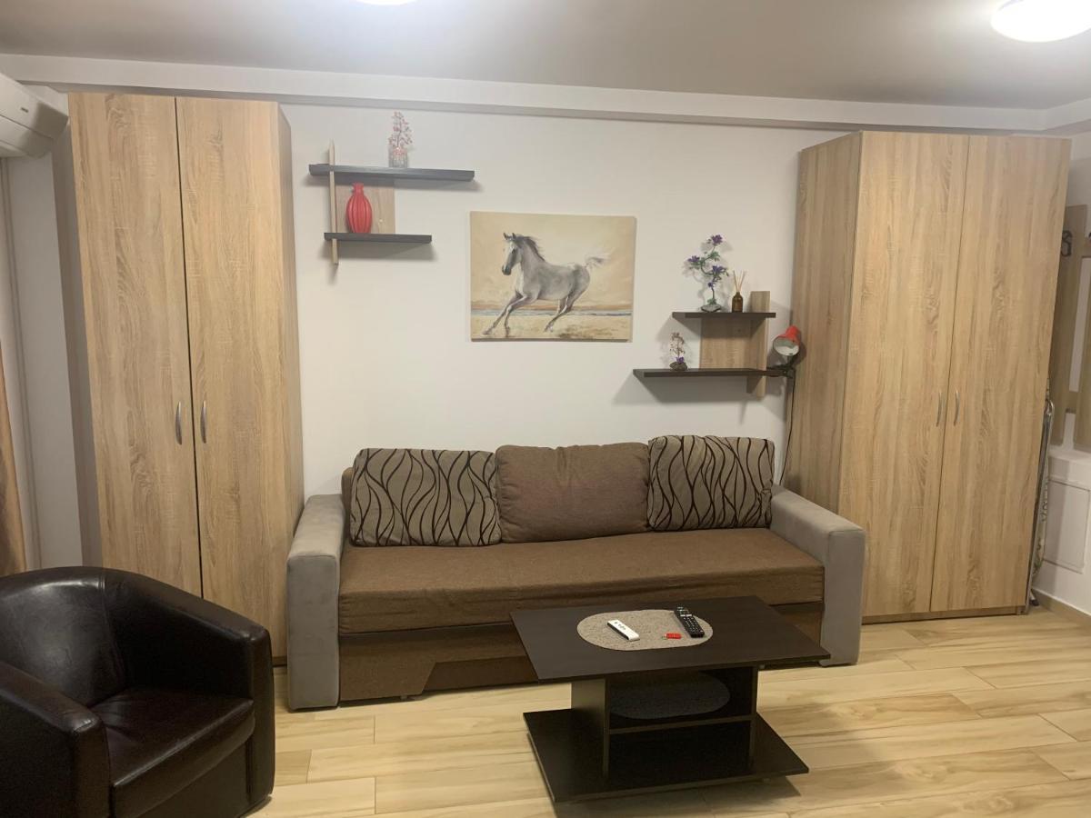 Studio Militari Residence Mr_1 Rosu ภายนอก รูปภาพ